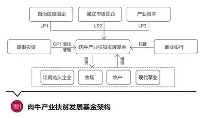 “资本+资源”赋能 私募股权基金精准发力产业扶贫——以通辽市肉牛产业发展基金为例